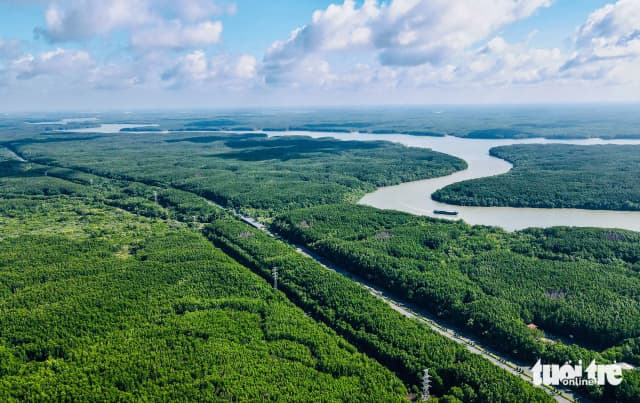 Tin vui Cần Giờ sắp được công nhận là khu Ramsar Thế Giới: Bước ngoặt quan trọng cho di sản thiên nhiên