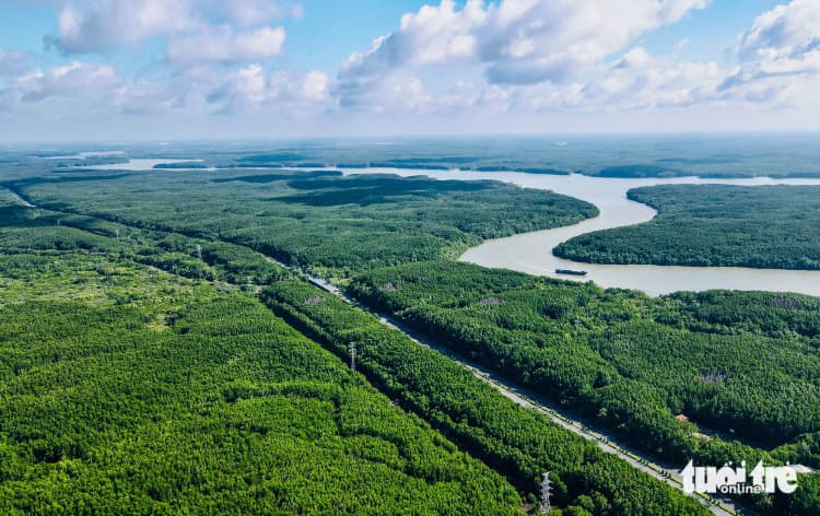 Tin vui Việt Nam: Cần Giờ sắp được công nhận là khu Ramsar Thế Giới: Bước ngoặt quan trọng cho di sản thiên nhiên