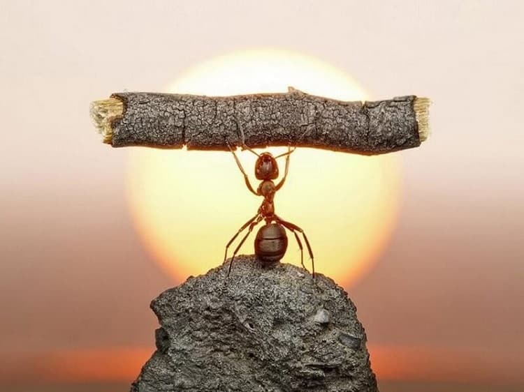 Kiên trì, cố gắng